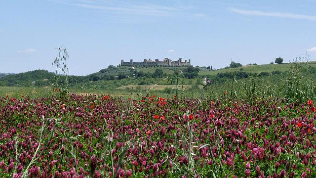 (27) Monteriggione.JPG